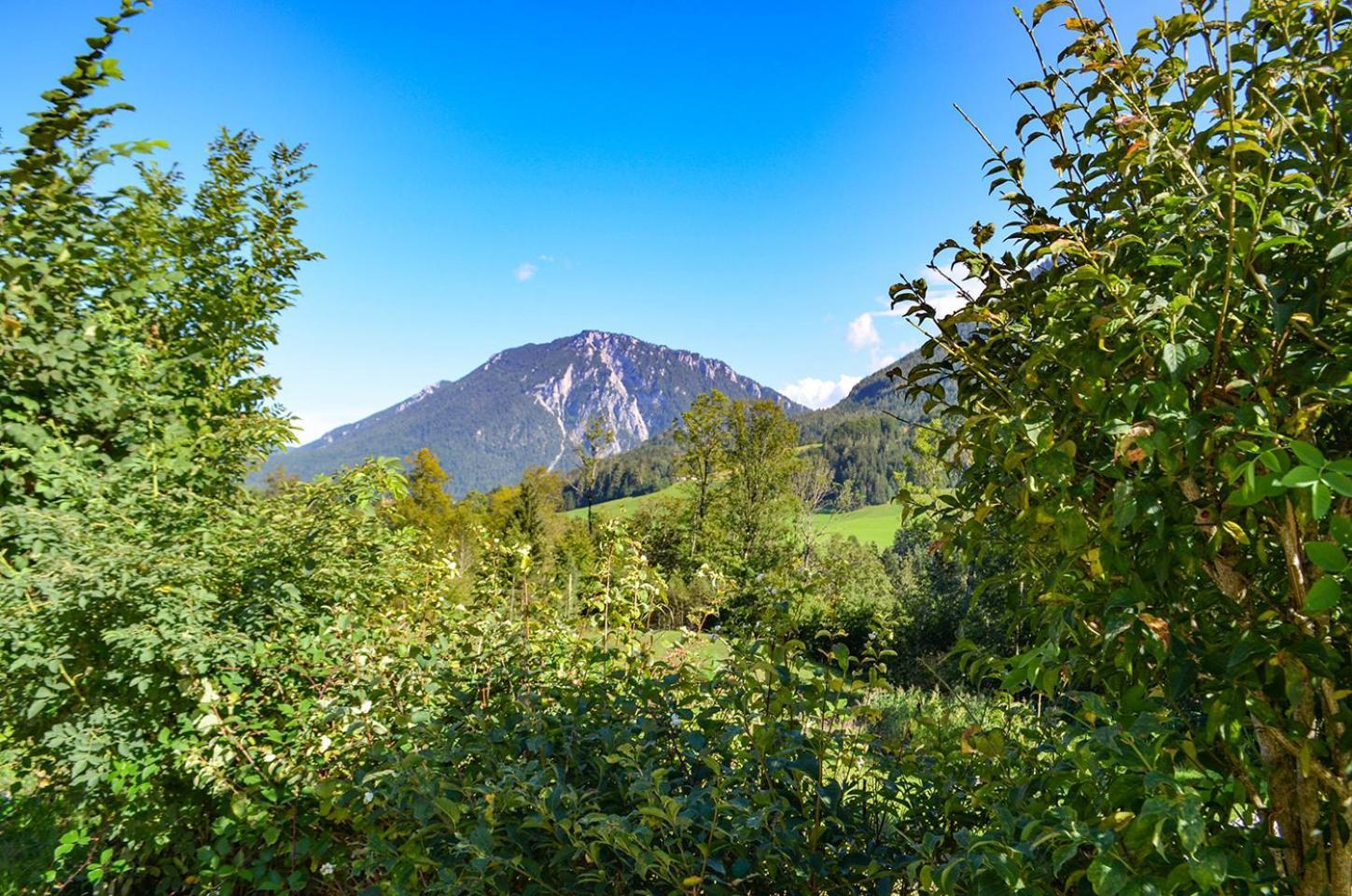 Almbauernhof Daire Ruhpolding Dış mekan fotoğraf